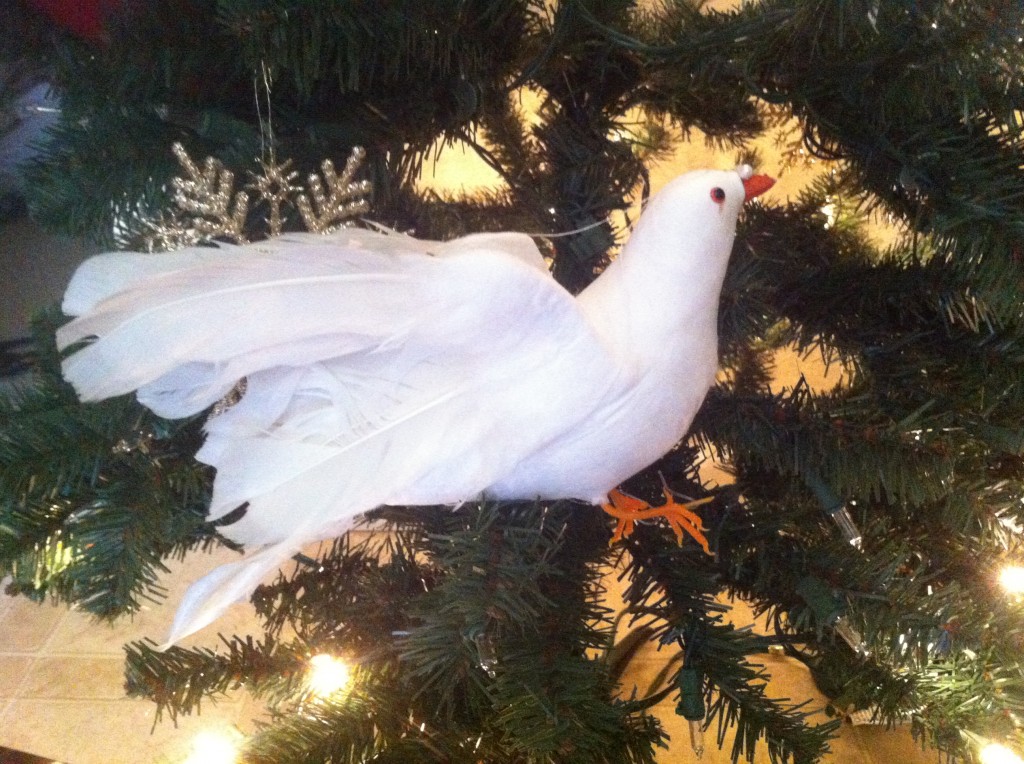 Dove